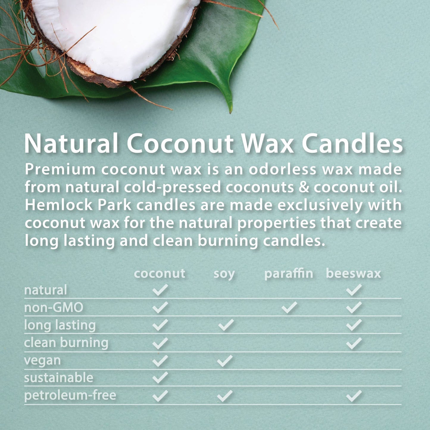 Hemlock Park - 8oz Amber, Blood Orange Sage, Coconut, Lily of the Valley Candle