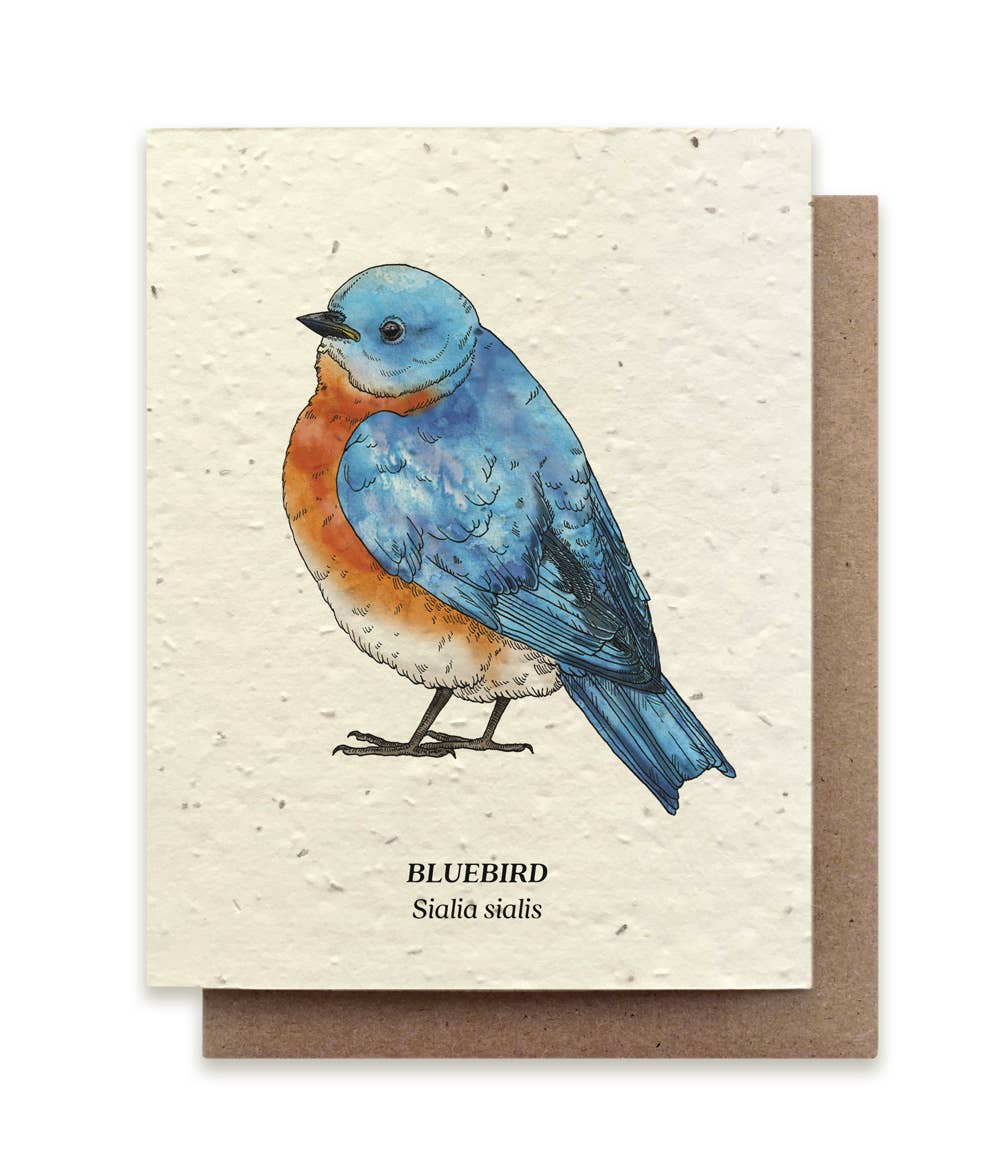 Small Victories - Bluebird Plantable Wildflower Seed Card