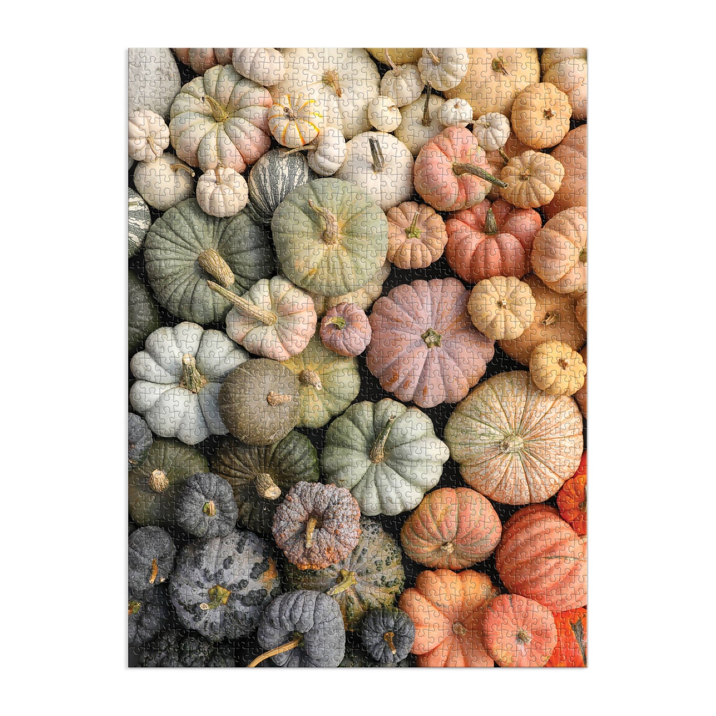 Chronicle Books - Heirloom Pumpkins 1000 Piece Puzzle in Square Box