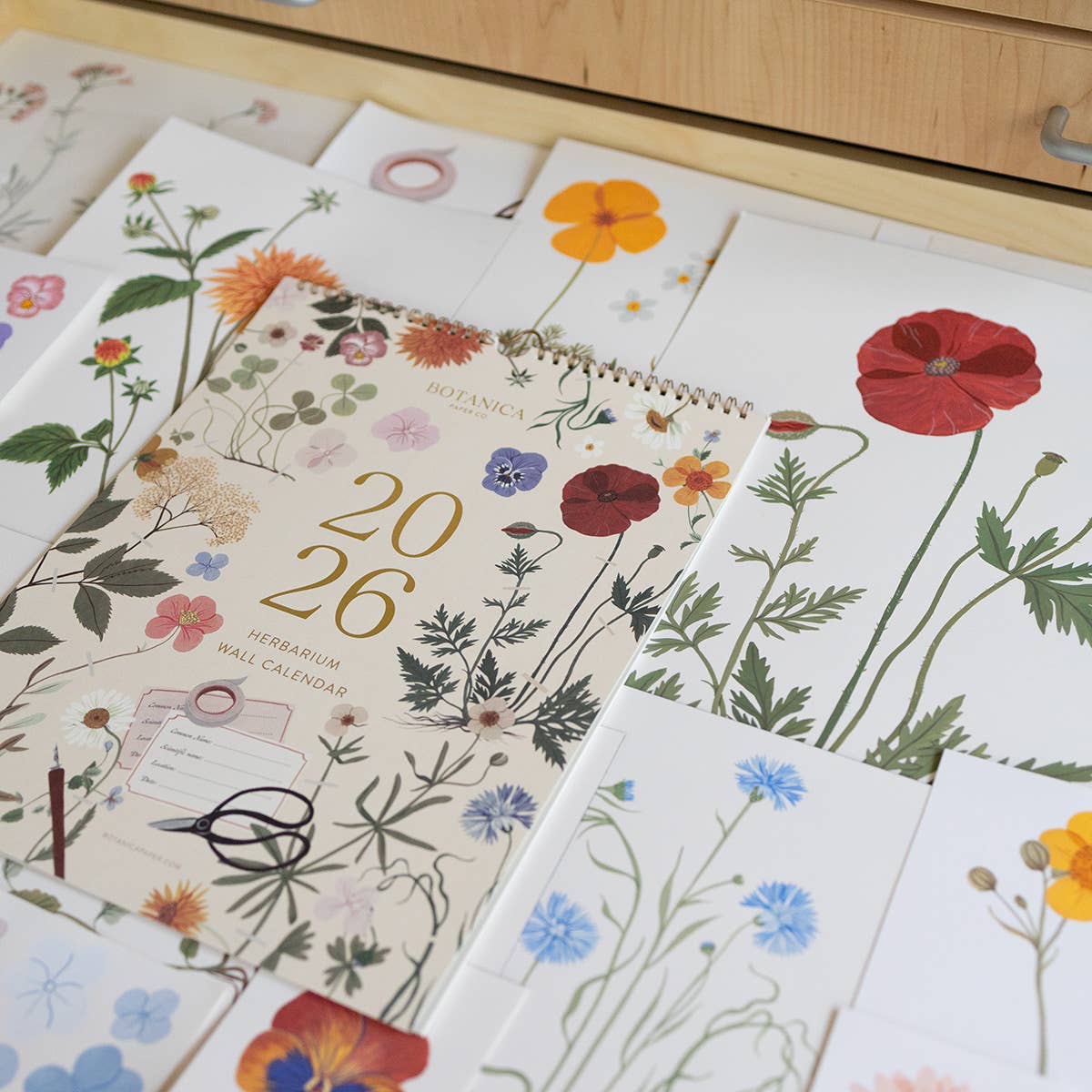 Botanica Paper Co. - 2026 WALL CALENDAR | HERBARIUM
