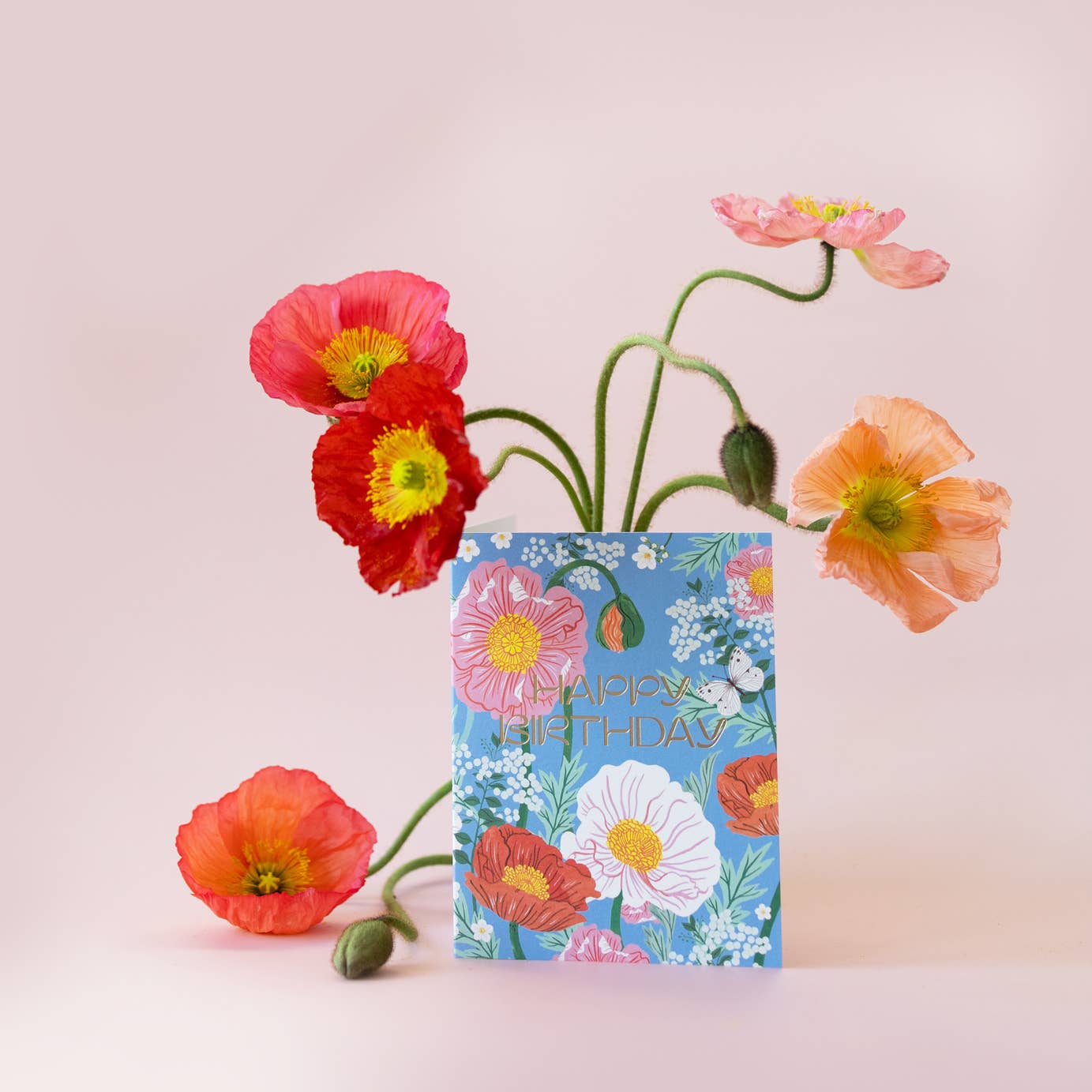 Botanica Paper Co. - POPPIES | birthday card