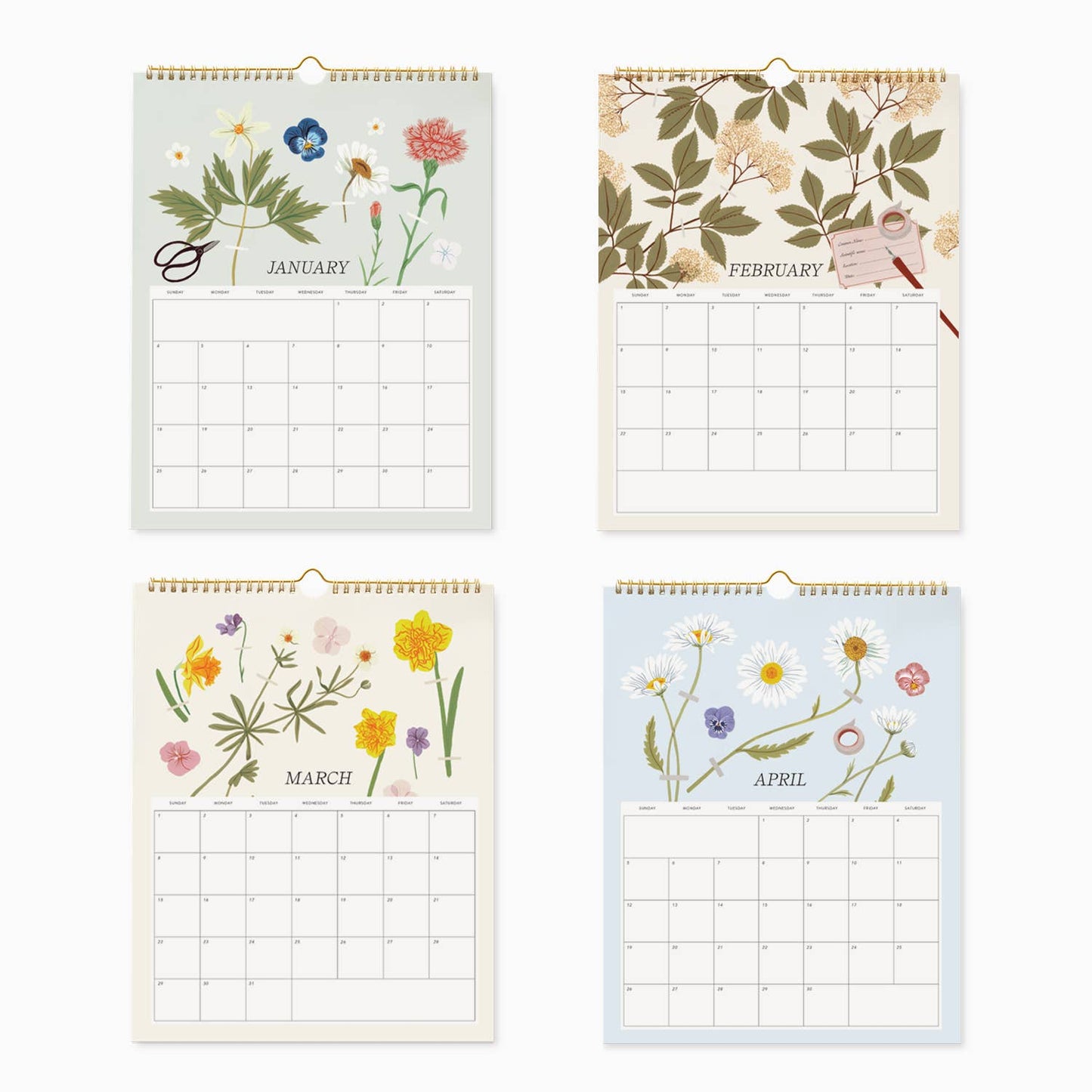 Botanica Paper Co. - 2026 WALL CALENDAR | HERBARIUM