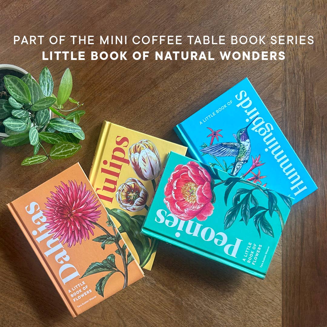 Paige Tate & Co. - A Little Book of Hummingbirds (Mother's Day Gift)
