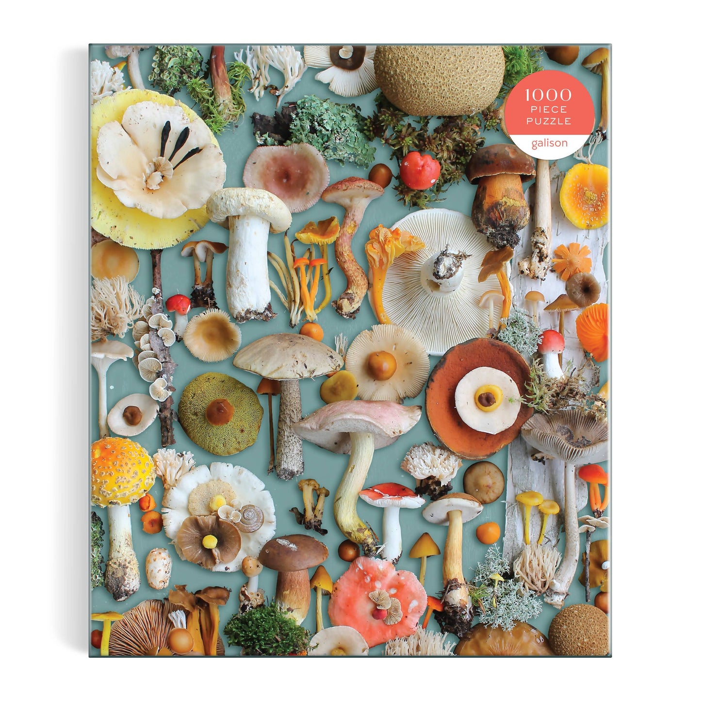 Chronicle Books - Foraged 1000 Piece Puzzle