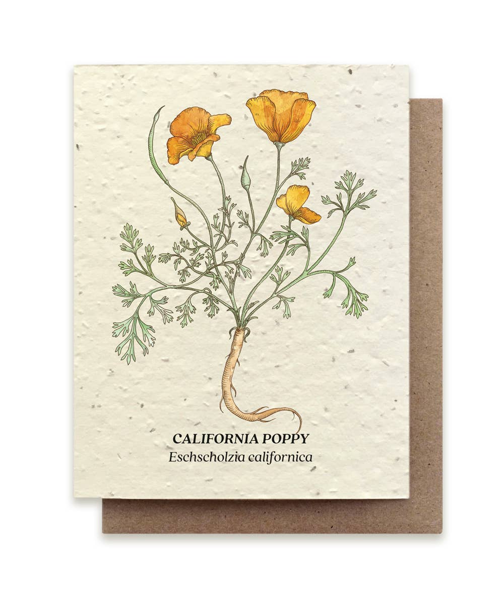 Small Victories - California Poppy Plantable Wildflower Seed Card