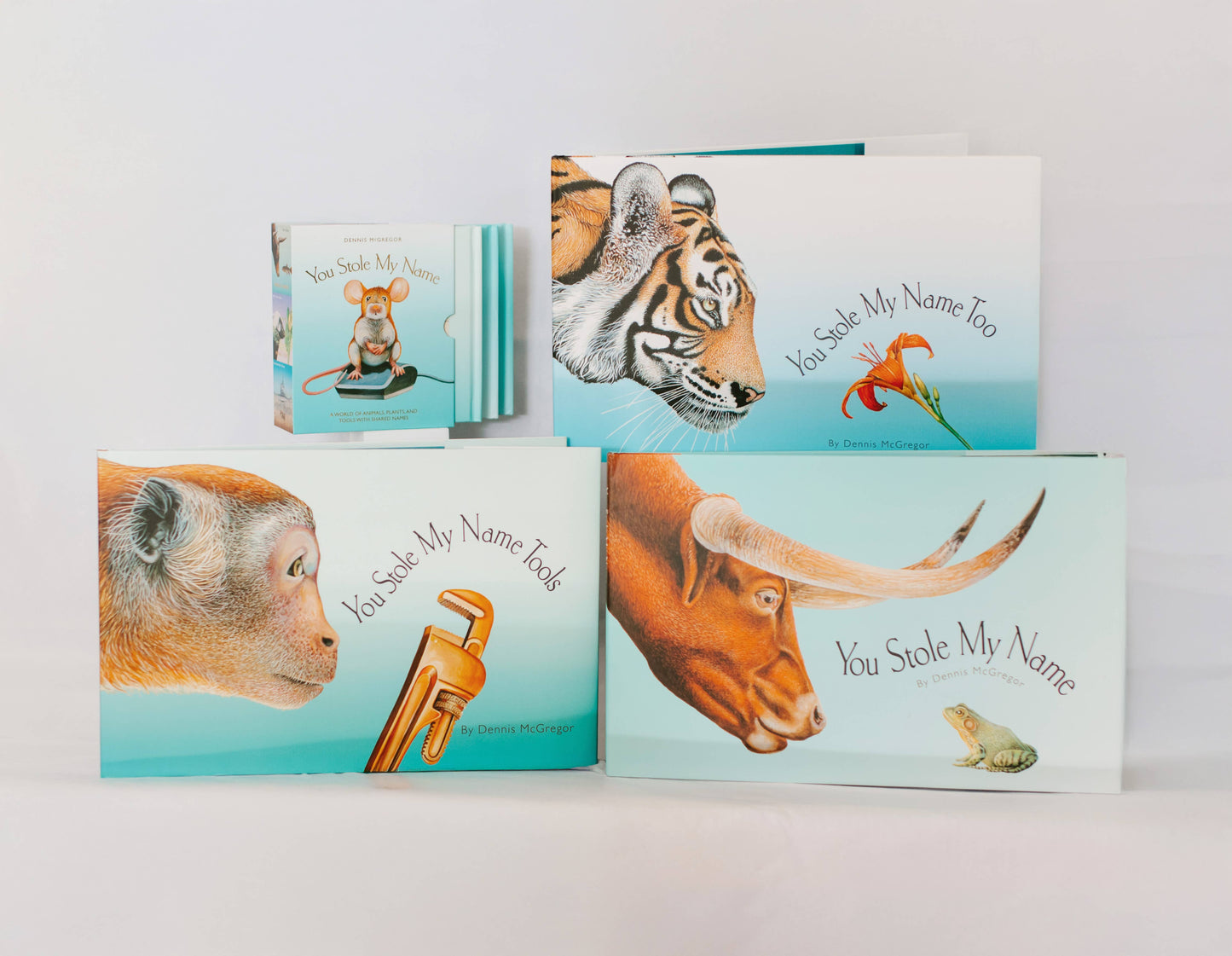 Paige Tate & Co. - You Stole My Name: Board Book for Baby