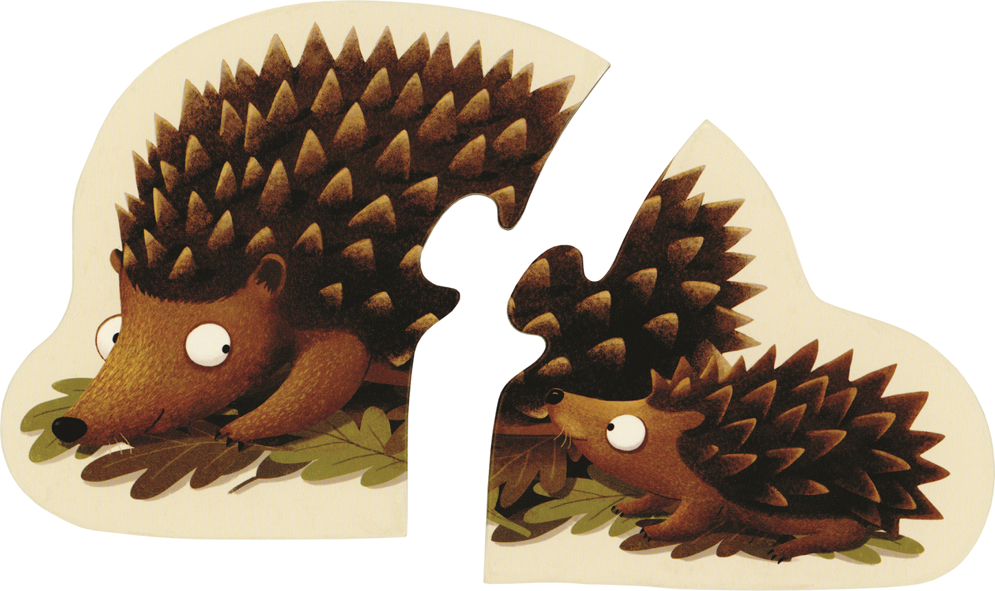 EDC Publishing - A Year in the Forest Puzzles: Big and Little
