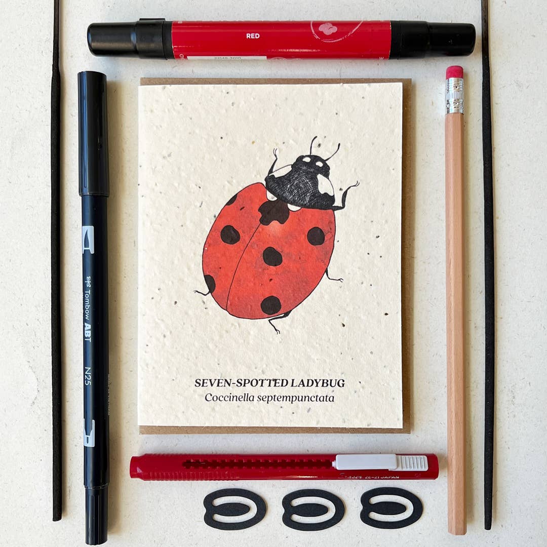 Small Victories - Seven-Spotted Ladybug Plantable Wildflower Seed Card