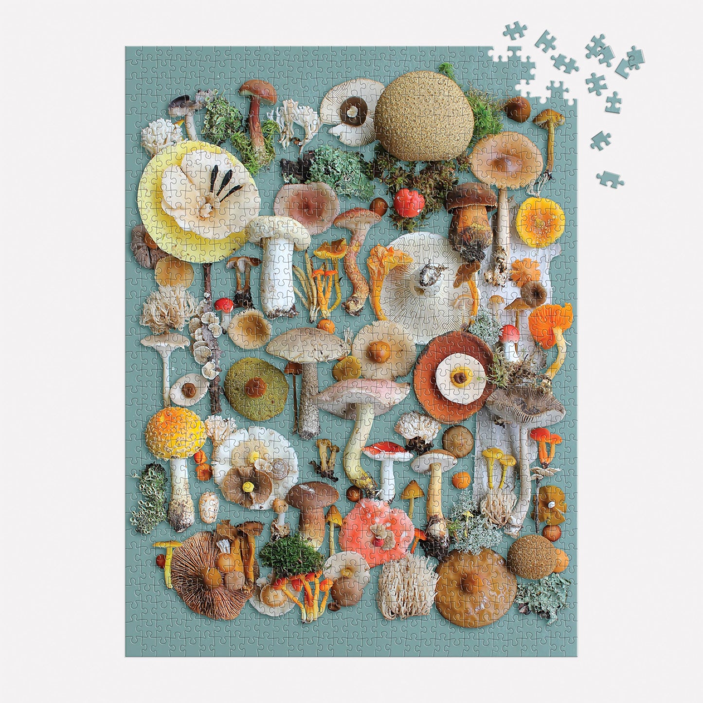 Chronicle Books - Foraged 1000 Piece Puzzle