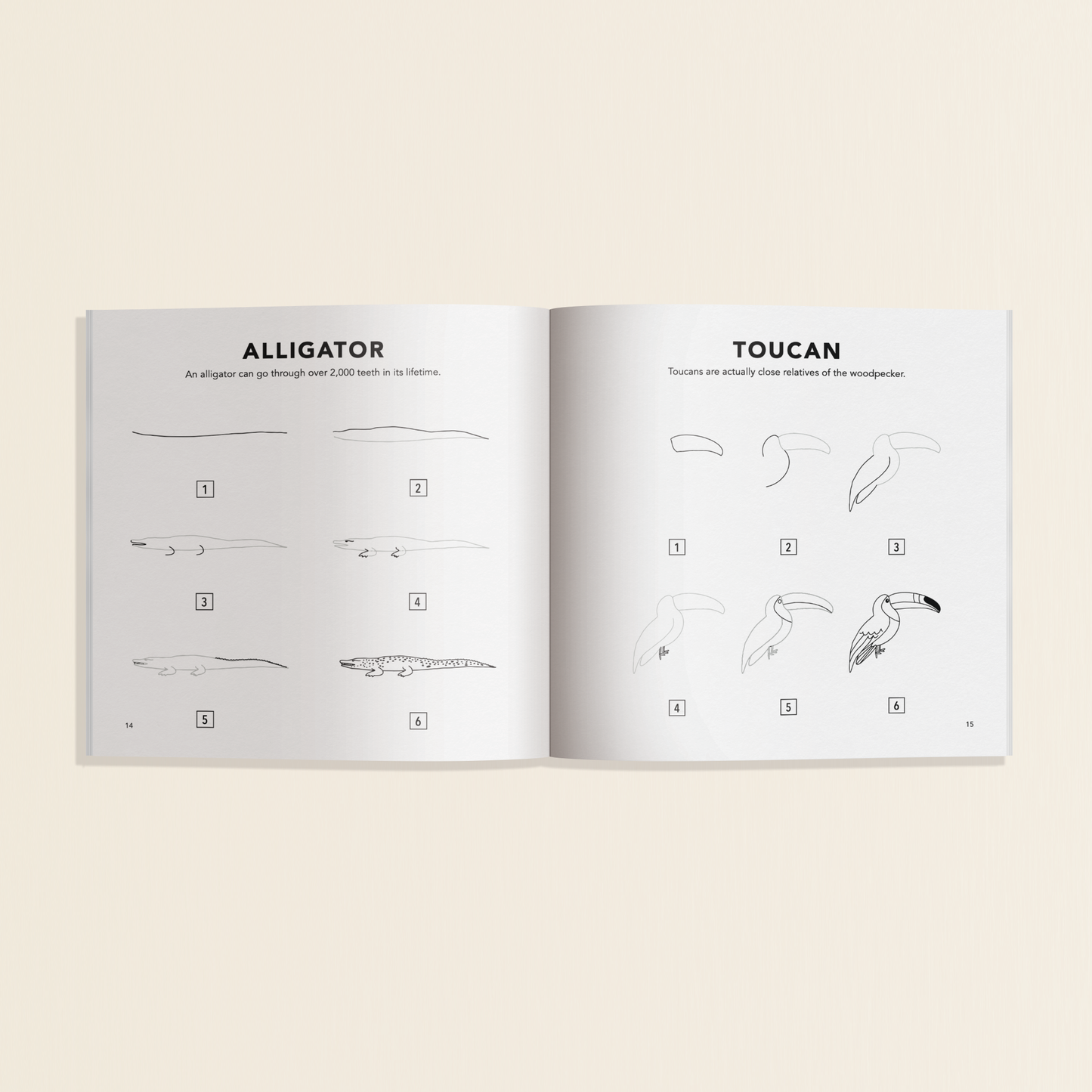 Paige Tate & Co. - All The Animals: A How to Draw Art Book for Kids Mini
