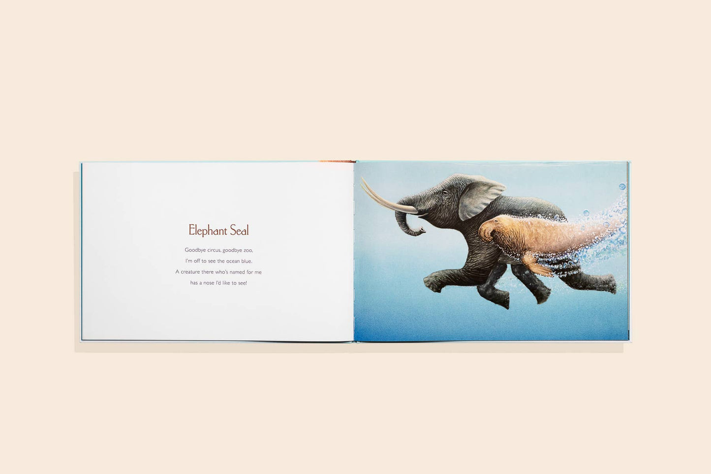 Paige Tate & Co. - You Stole My Name (Picture Book for Kids)