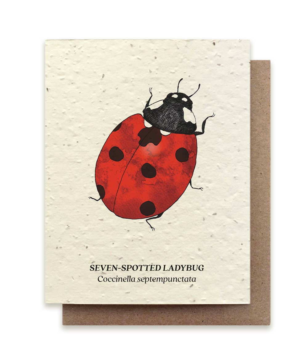 Small Victories - Seven-Spotted Ladybug Plantable Wildflower Seed Card
