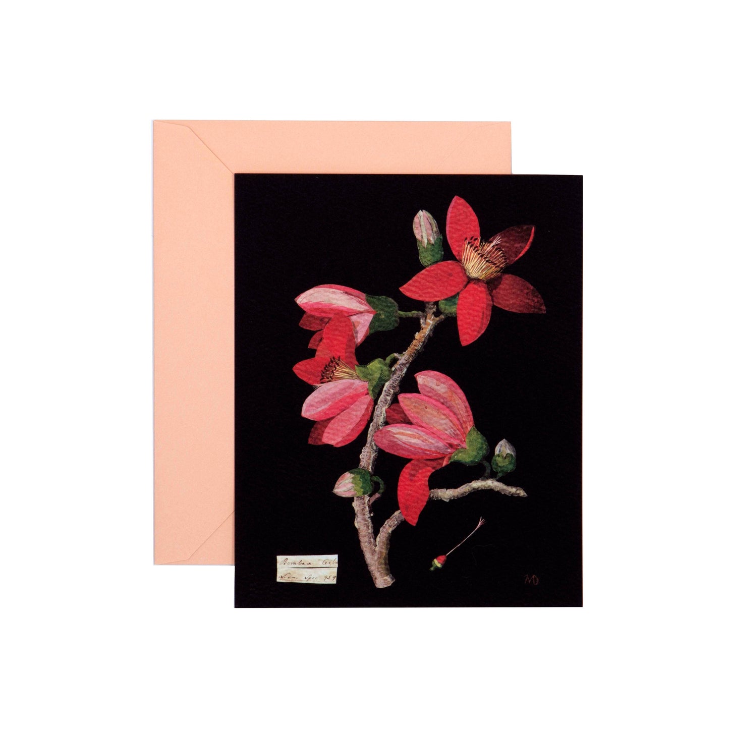 Chronicle Books - Paper Flowers Cards and Envelopes