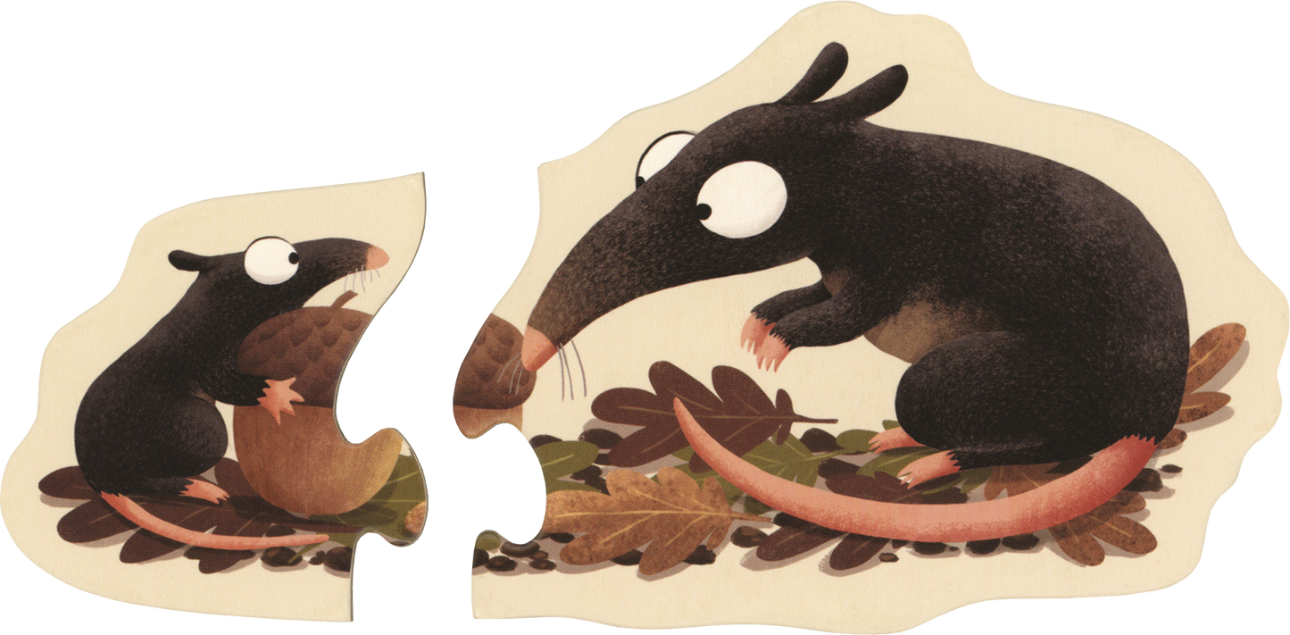 EDC Publishing - A Year in the Forest Puzzles: Big and Little