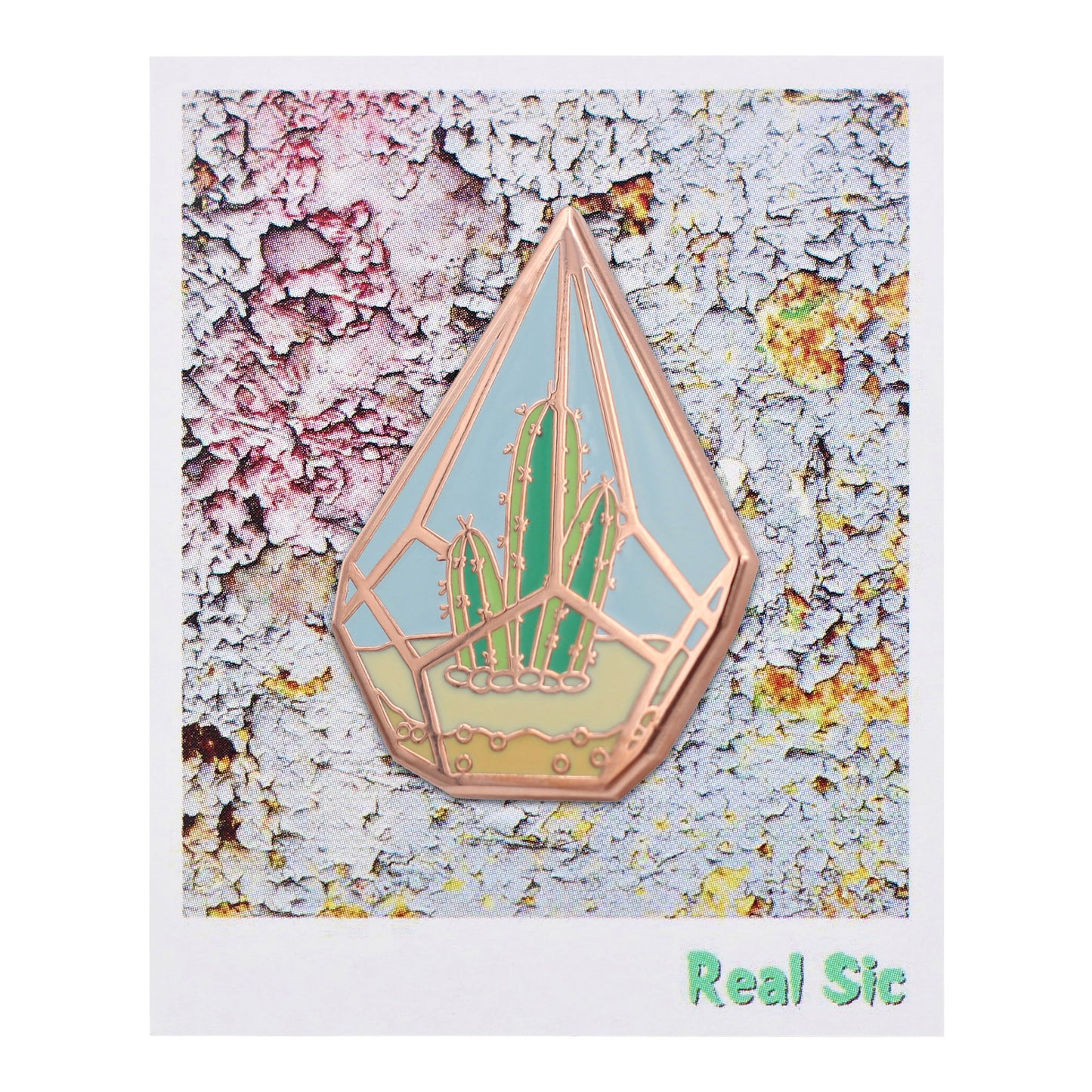 Cute Cactus in Geometric Terrarium Plants Enamel Lapel Pin