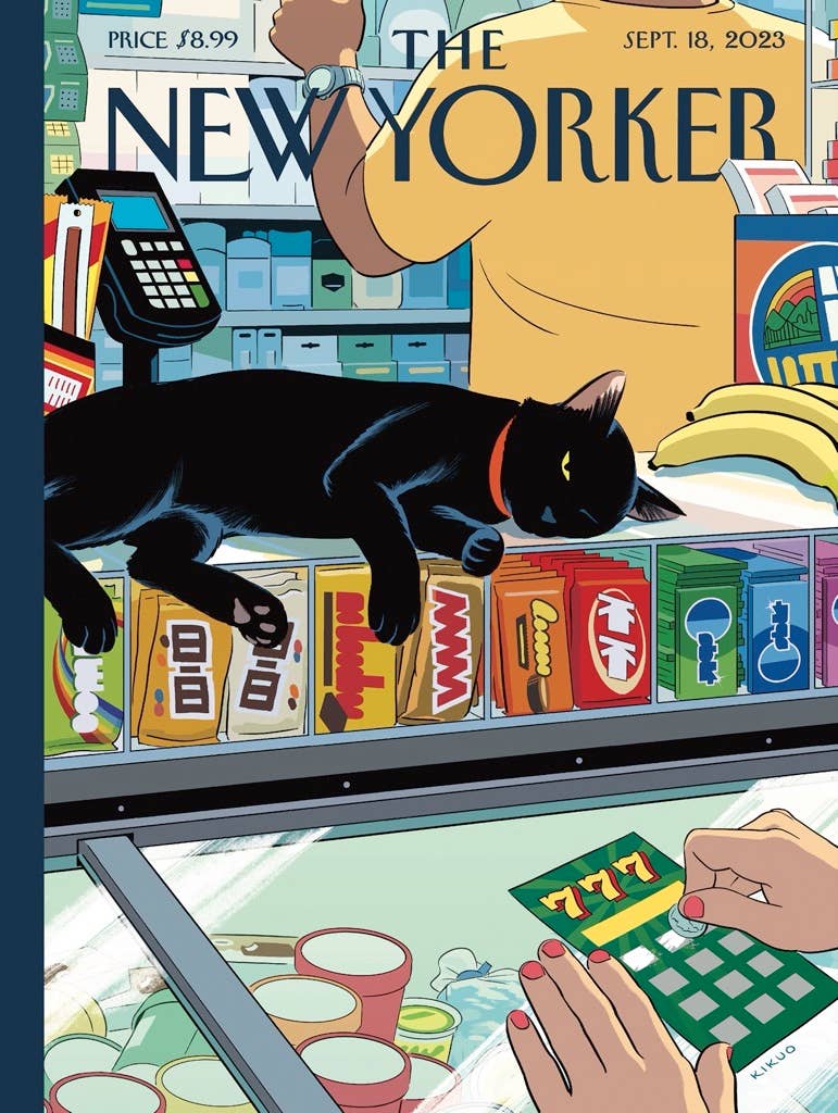 New York Puzzle Company - Bodega Cat - 1000 Piece Jigsaw Puzzle