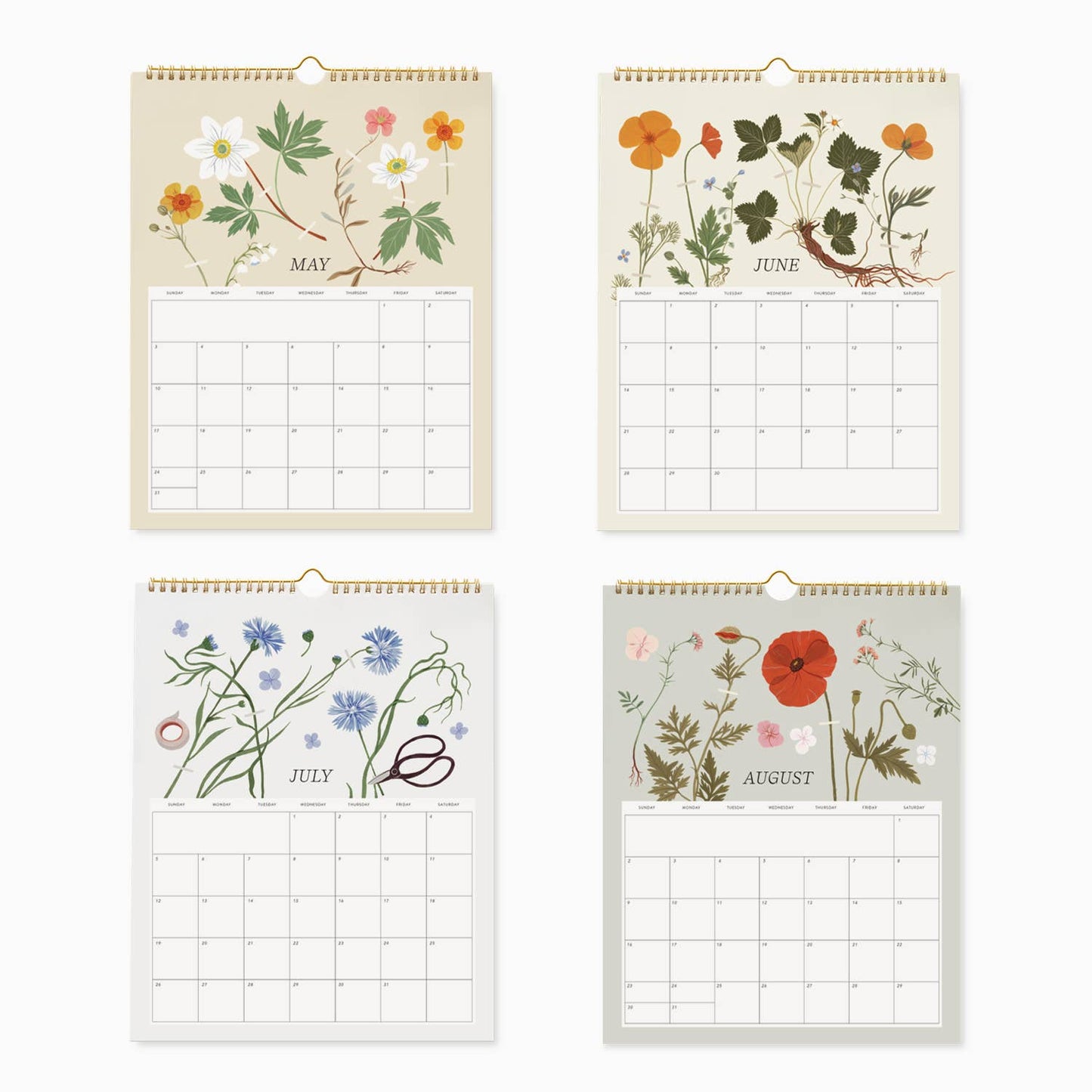 Botanica Paper Co. - 2026 WALL CALENDAR | HERBARIUM