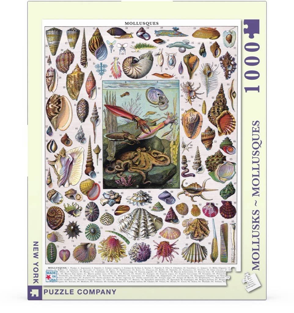 New York Puzzle Company - Mollusks