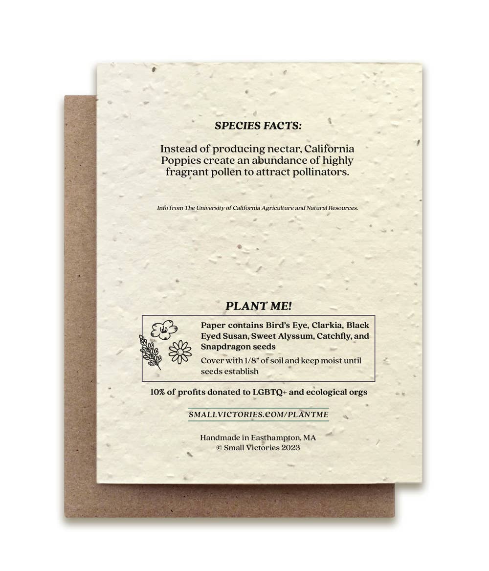 Small Victories - California Poppy Plantable Wildflower Seed Card