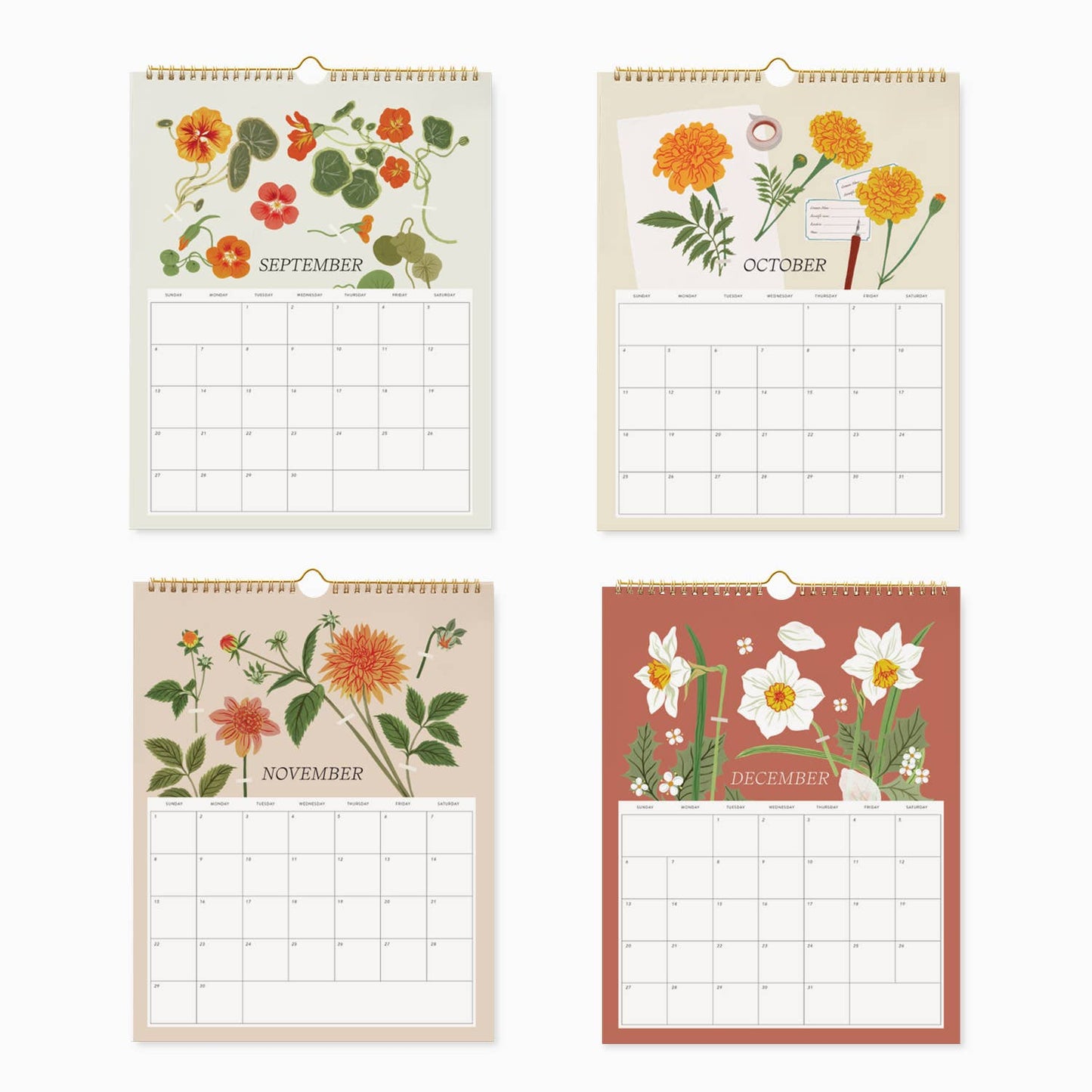 Botanica Paper Co. - 2026 WALL CALENDAR | HERBARIUM