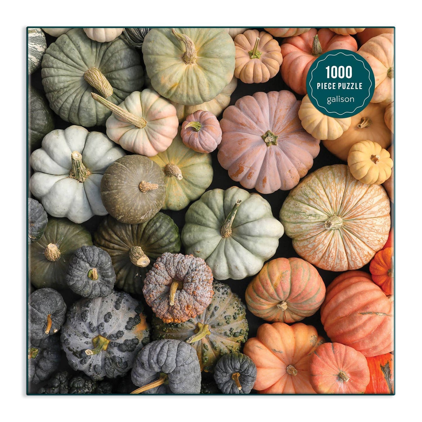 Chronicle Books - Heirloom Pumpkins 1000 Piece Puzzle in Square Box