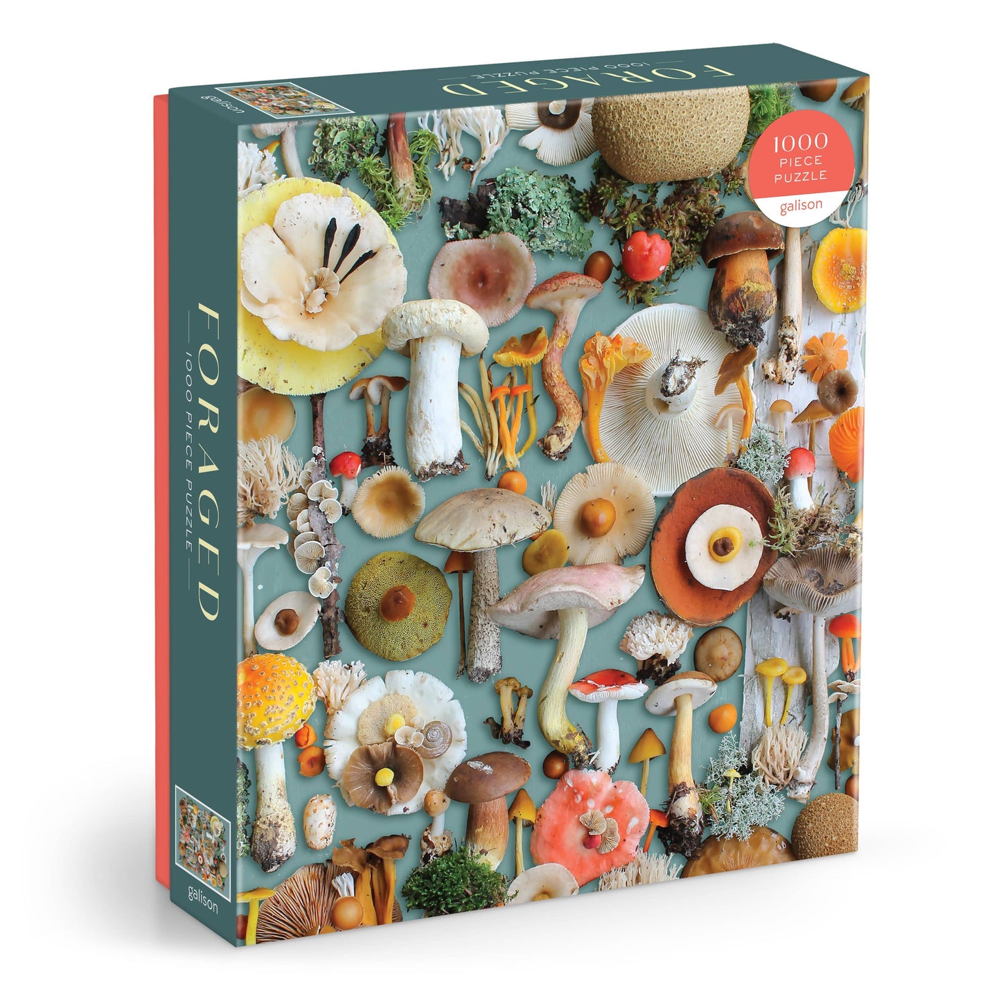 Chronicle Books - Foraged 1000 Piece Puzzle