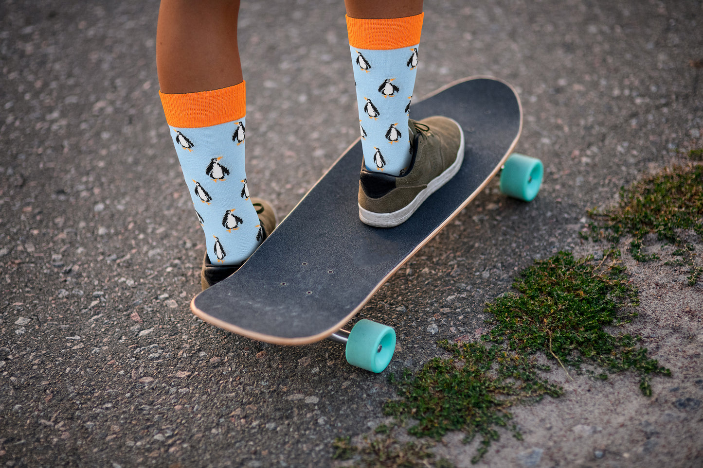 Sick Socks - Penguin - Exotic Animal Series Casual Socks