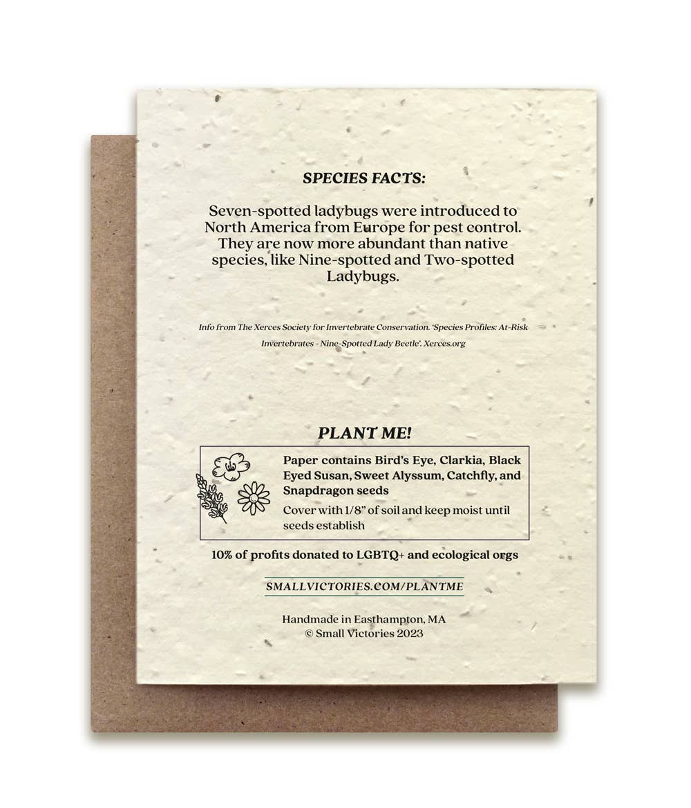 Small Victories - Seven-Spotted Ladybug Plantable Wildflower Seed Card
