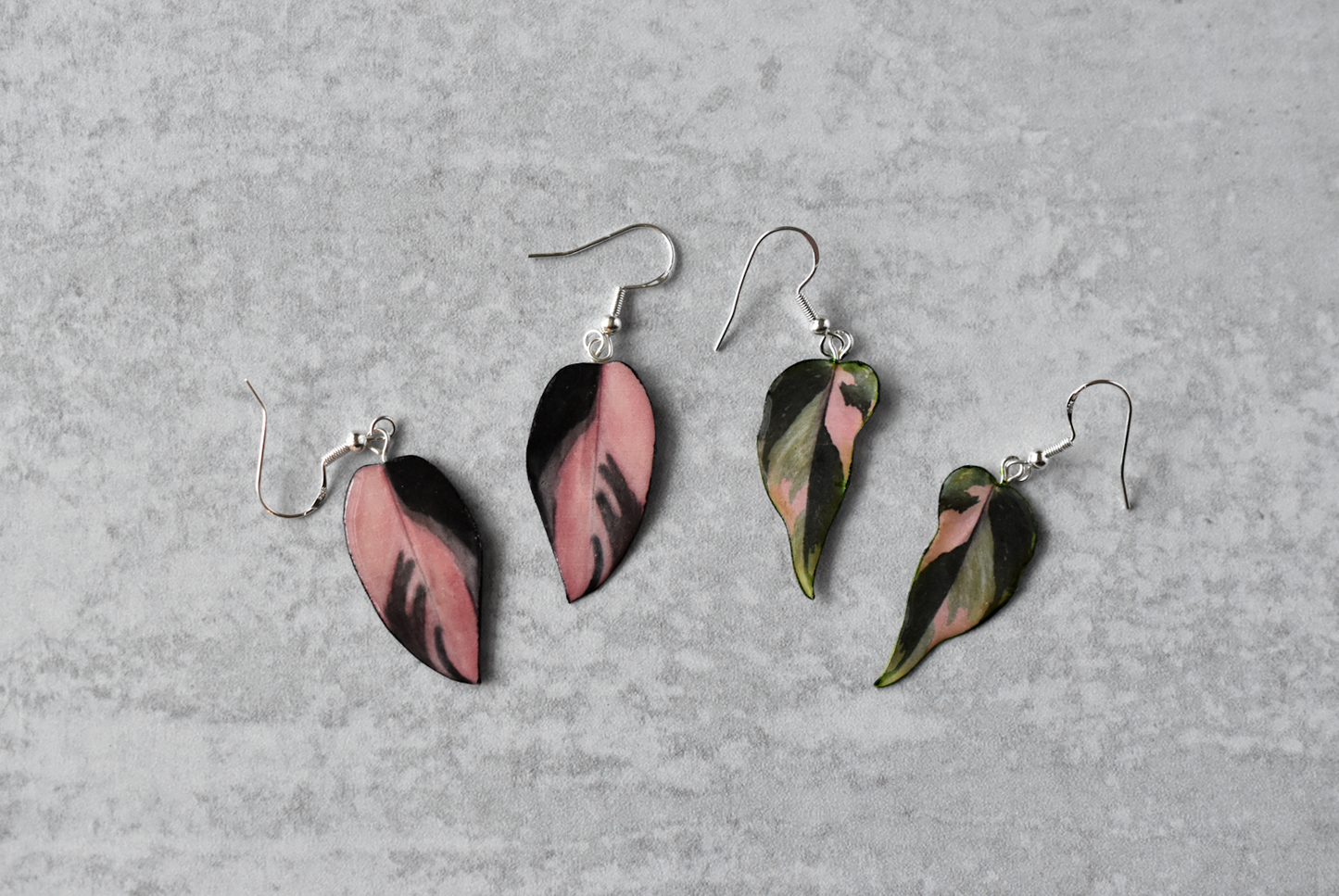 Philodendron Pink Princess "PPP" Camo Plant Earrings
