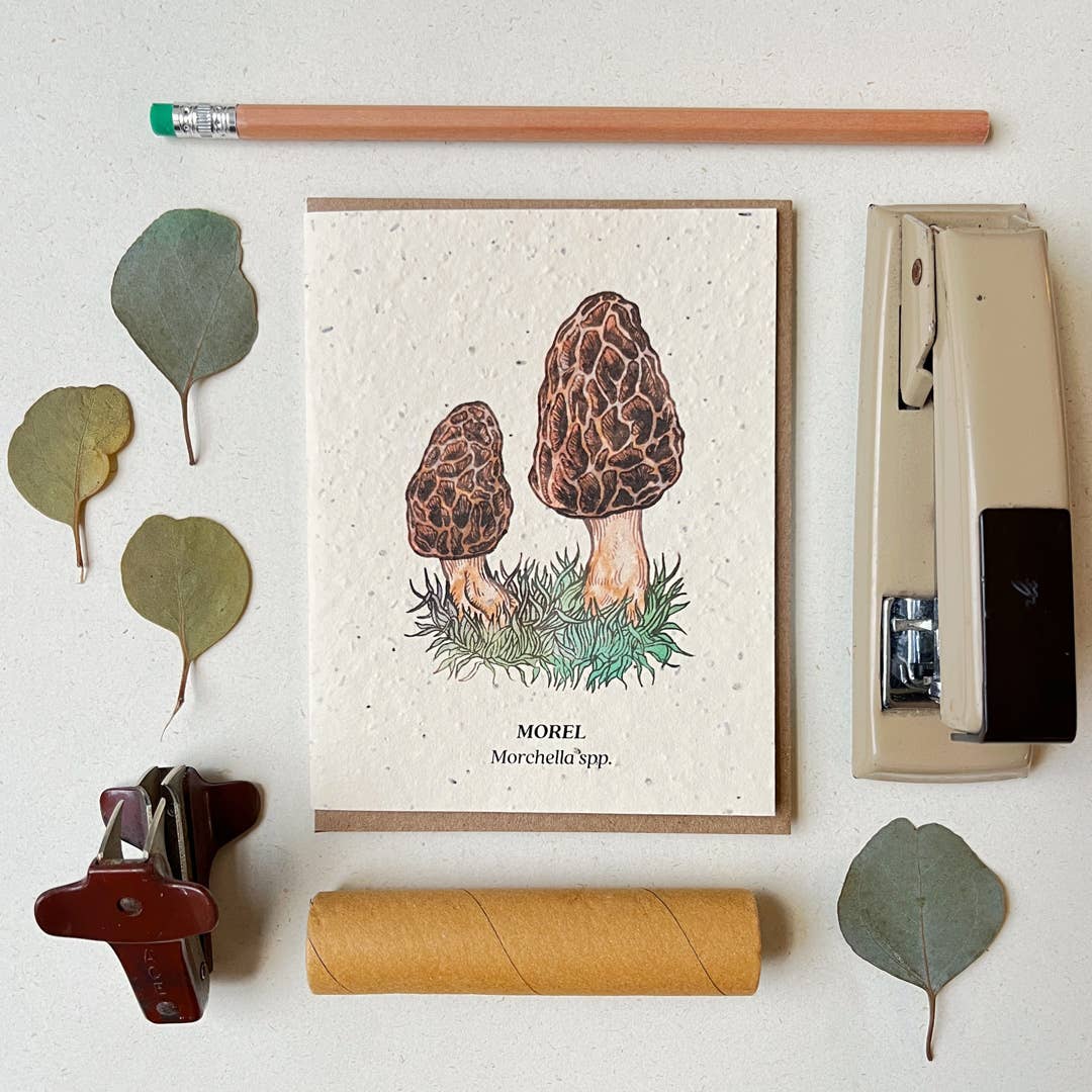 Small Victories - Morel Mushroom Plantable Wildflower Seed Card