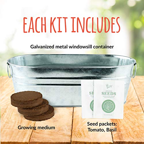 Windowsill Grow Kit | Pizza Night: Tomato and Basil