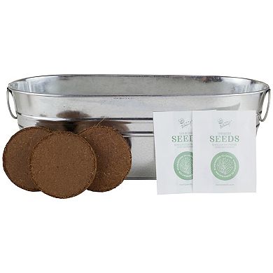 Buzzy Seeds Pizza Night Windowsill Grow Kit