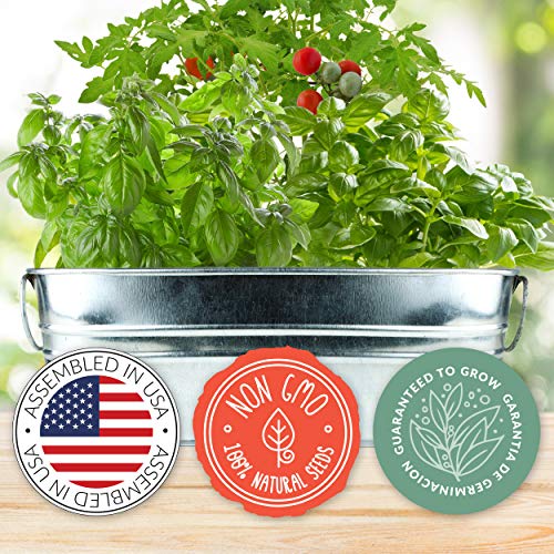 Windowsill Grow Kit | Pizza Night: Tomato and Basil