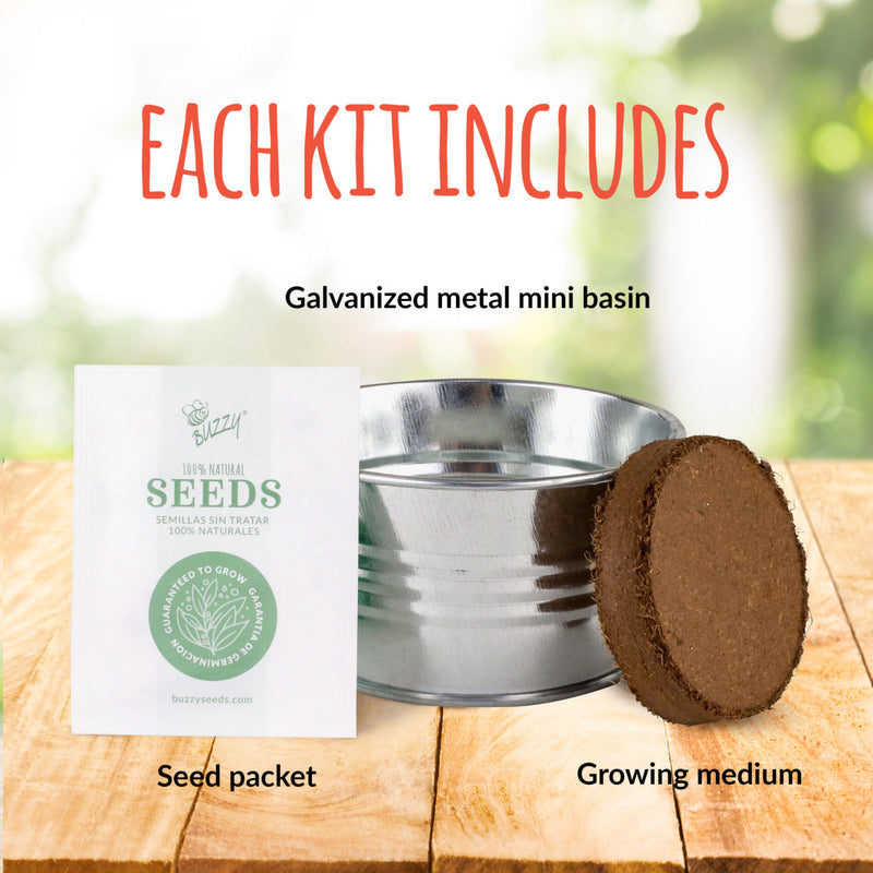 Buzzy - Aloe Mini Basin Grow Kit