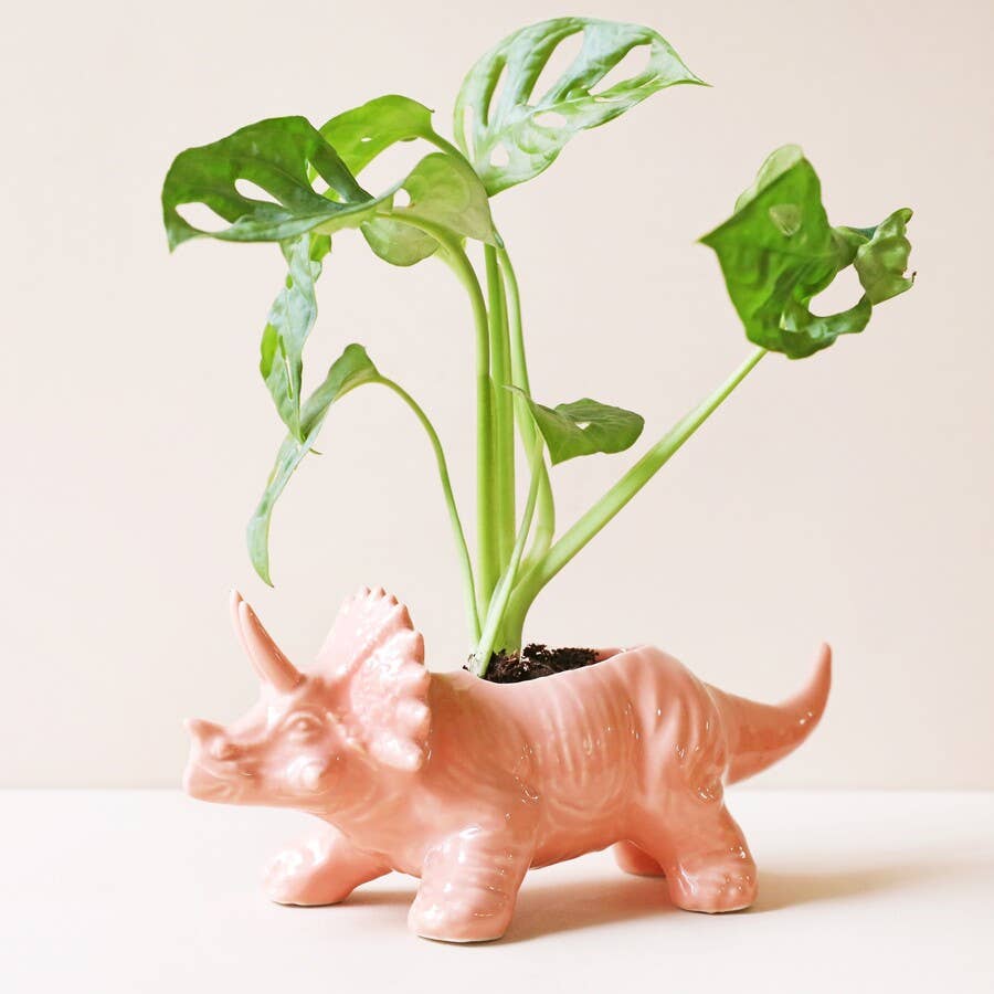 triceratops plant pot Lisa Angel