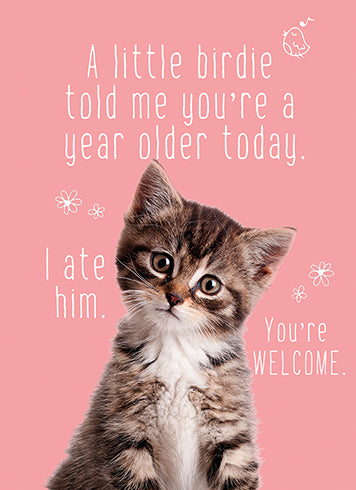 Birthday Card FUR BIRDIE
