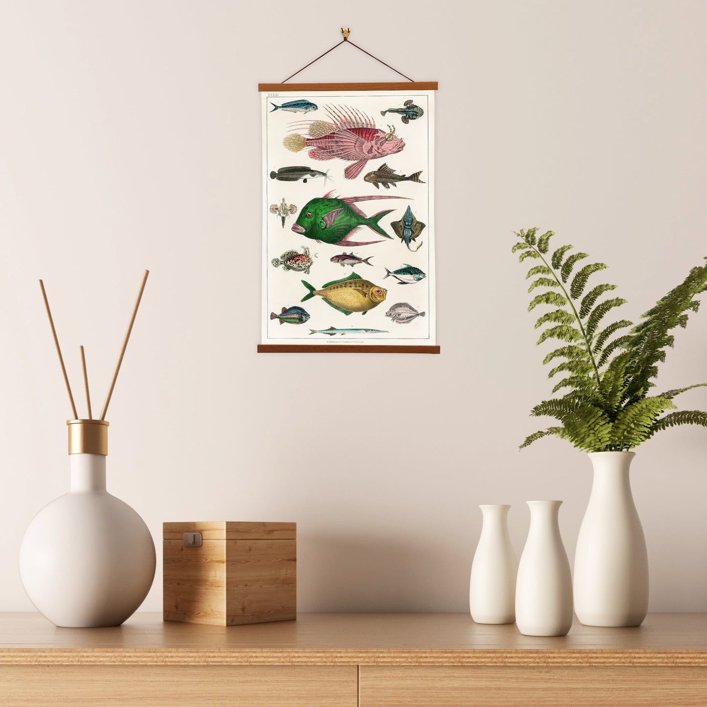Collection of various fishes (No. 33) by Oliver Goldsmith