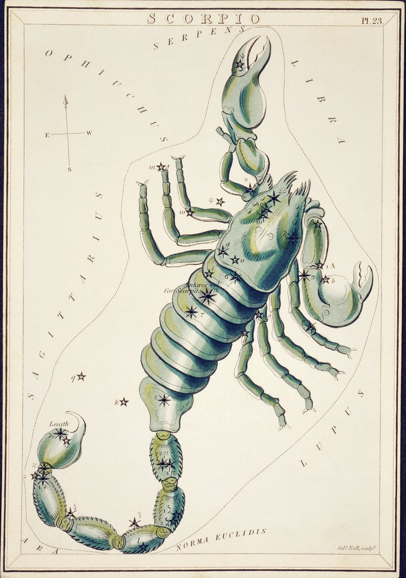 Scorpio by Sidney Hall