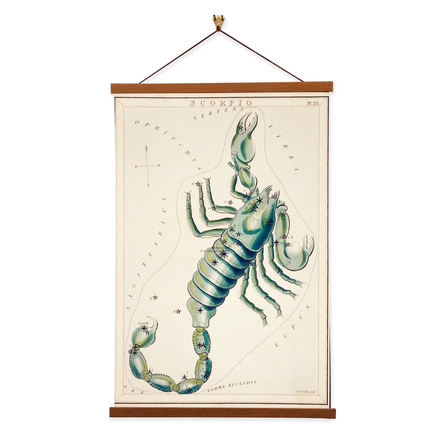 Scorpio by Sidney Hall