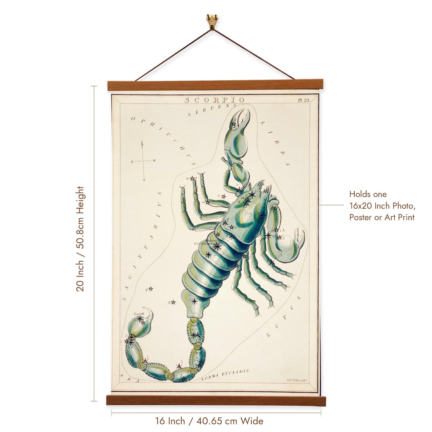 Scorpio by Sidney Hall