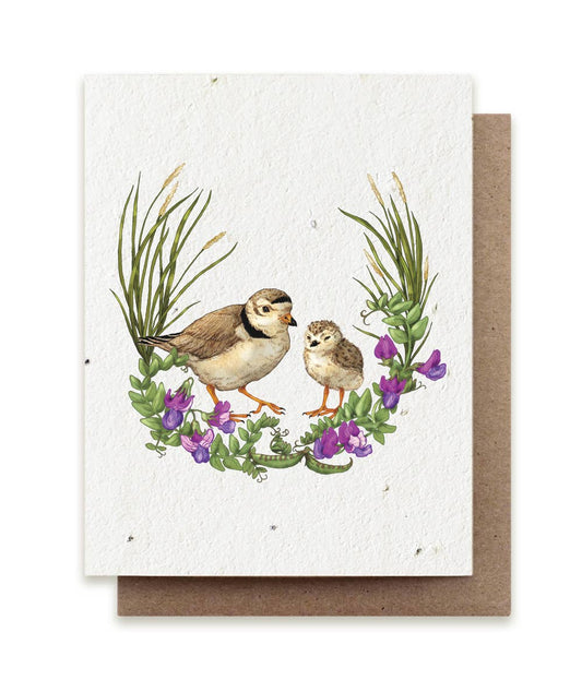 Small Victories - Summer Plovers Plantable Herb Seed Card