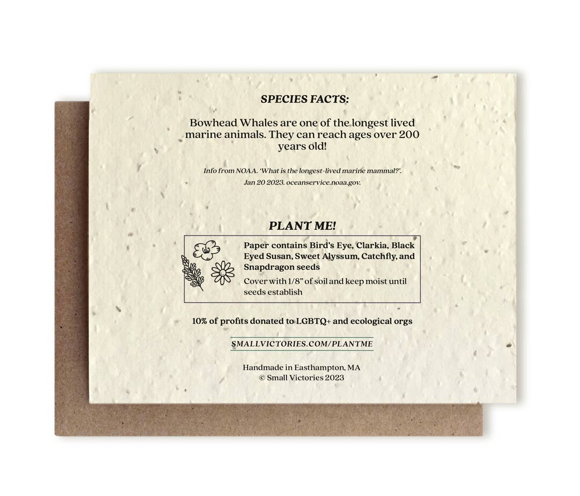 Small Victories - Bowhead Whale Plantable Wildflower Seed Card