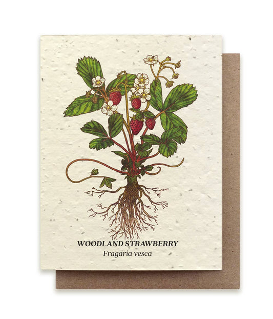 Small Victories - Strawberry Plantable Wildflower Seed Card