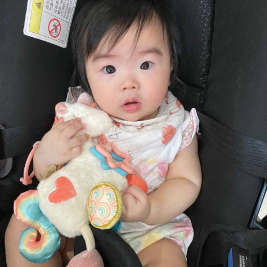 Itzy Ritzy - Itzy Friends Link & Love™ Activity Plush with Teether Toy