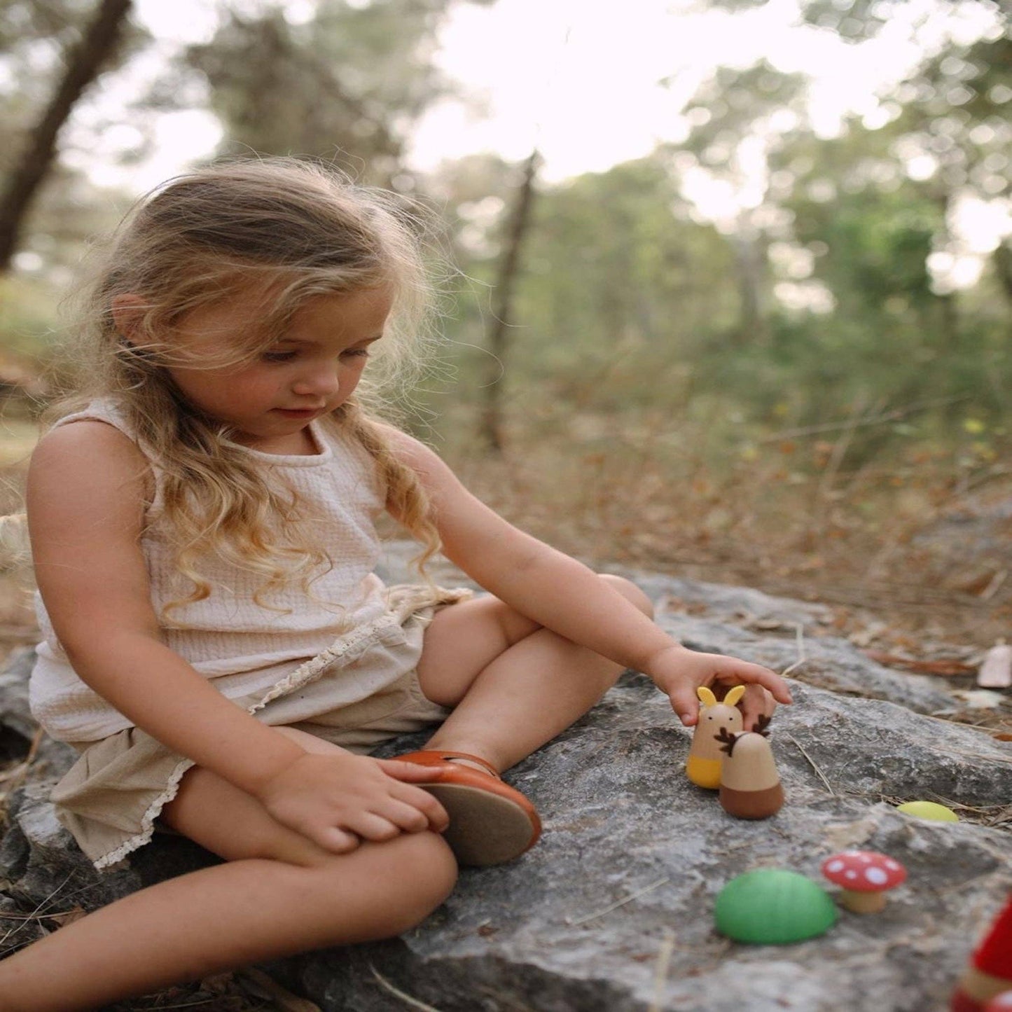 Nova Toys LLC - Dwarf Forest