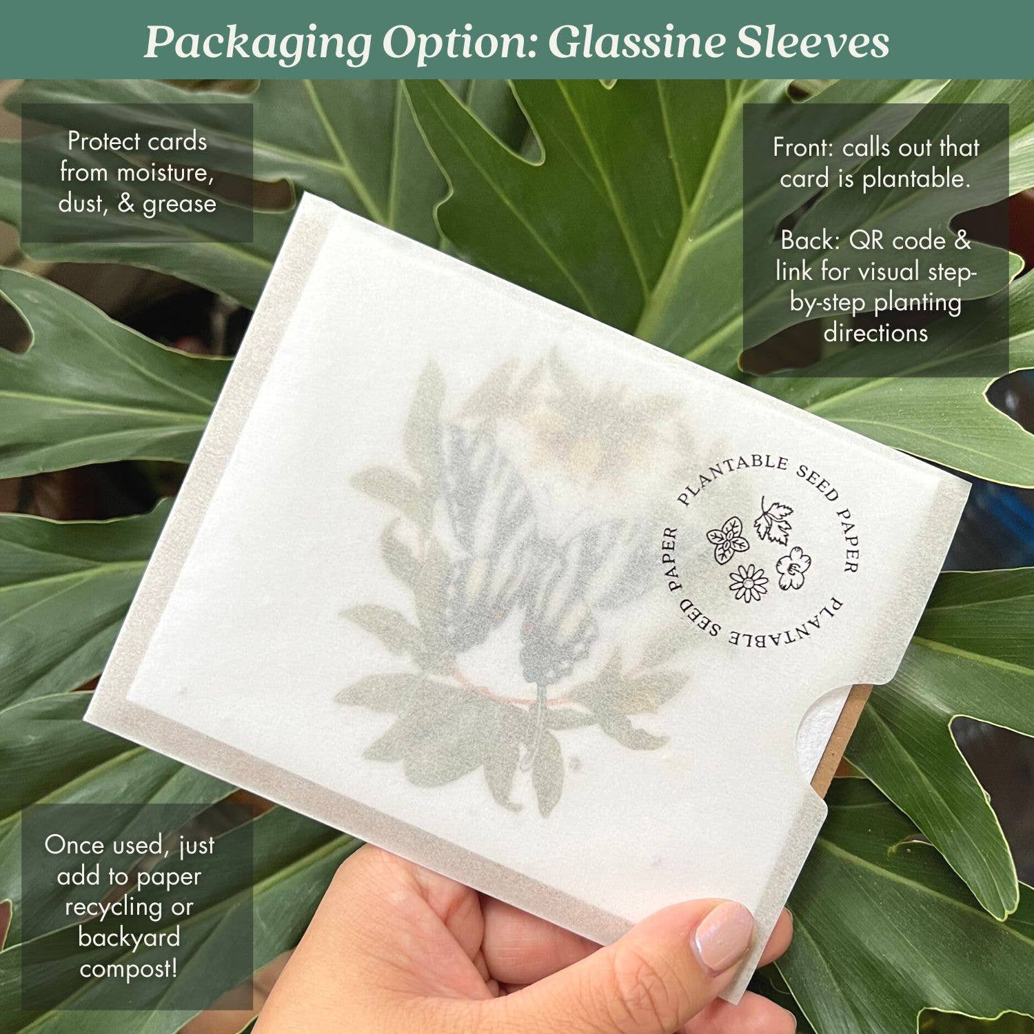 monarch card sleeves Monarch Butterfly - Plantable Wildflower Seed Card