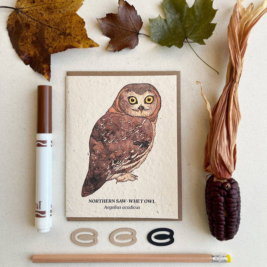 Small Victories - Northern Saw-Whet Owl Plantable Wildflower Seed Card