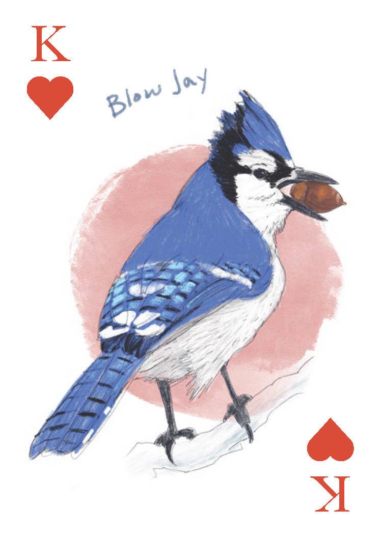 Chronicle Books - Field Guide to Dumb Birds Playing Cards