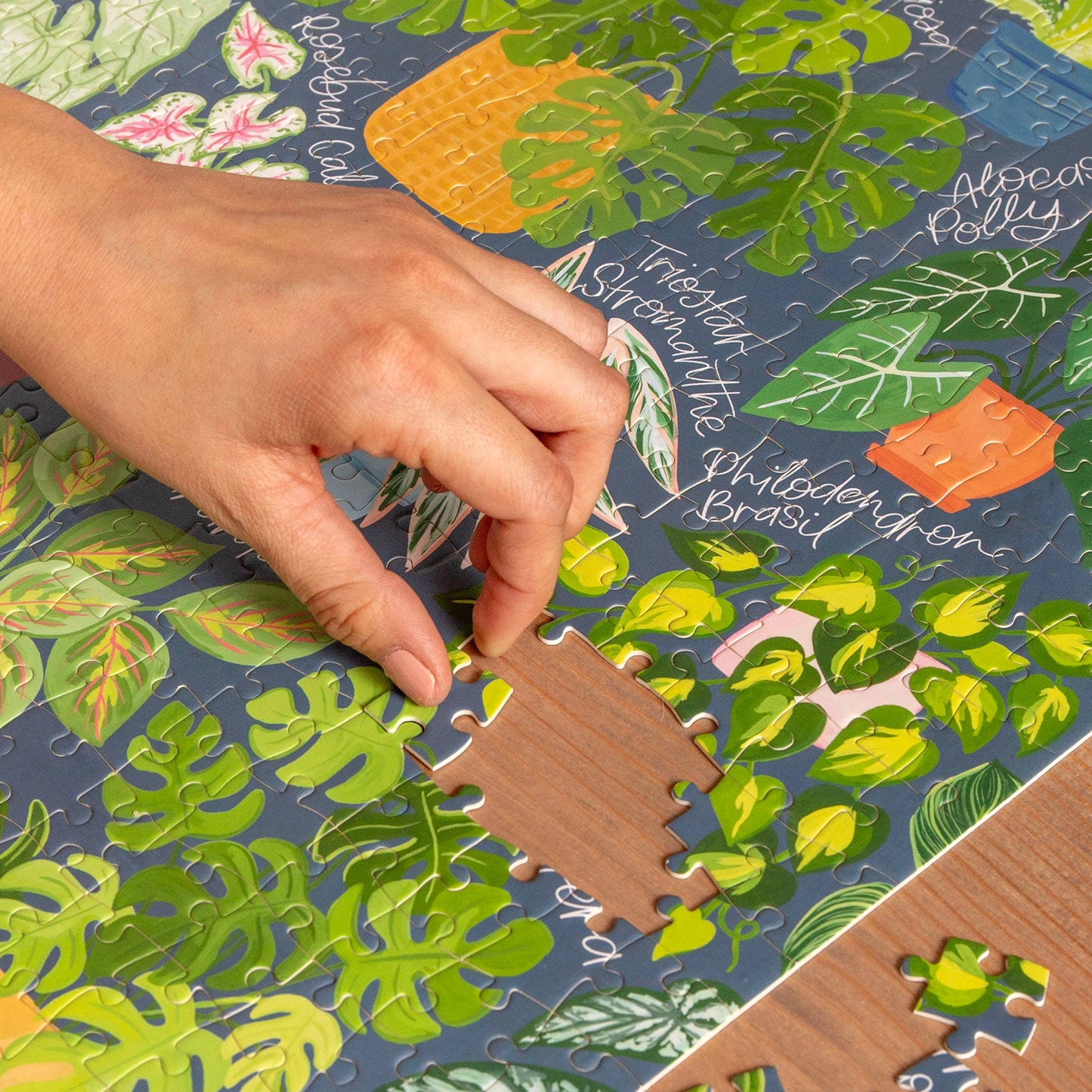 1canoe2 | One Canoe Two Paper Co. - Houseplant Jungle - 500 Piece Jigsaw Puzzle