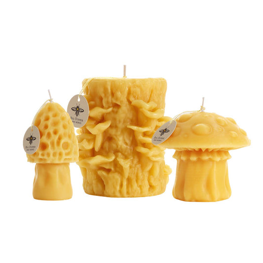 Big Dipper Wax Works - Mushroom Candles – 100% Pure Beeswax – 3 Styles